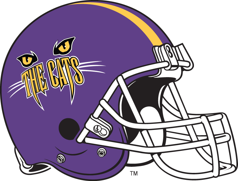 Western Carolina Catamounts 1996-2007 Helmet Logo diy DTF decal sticker